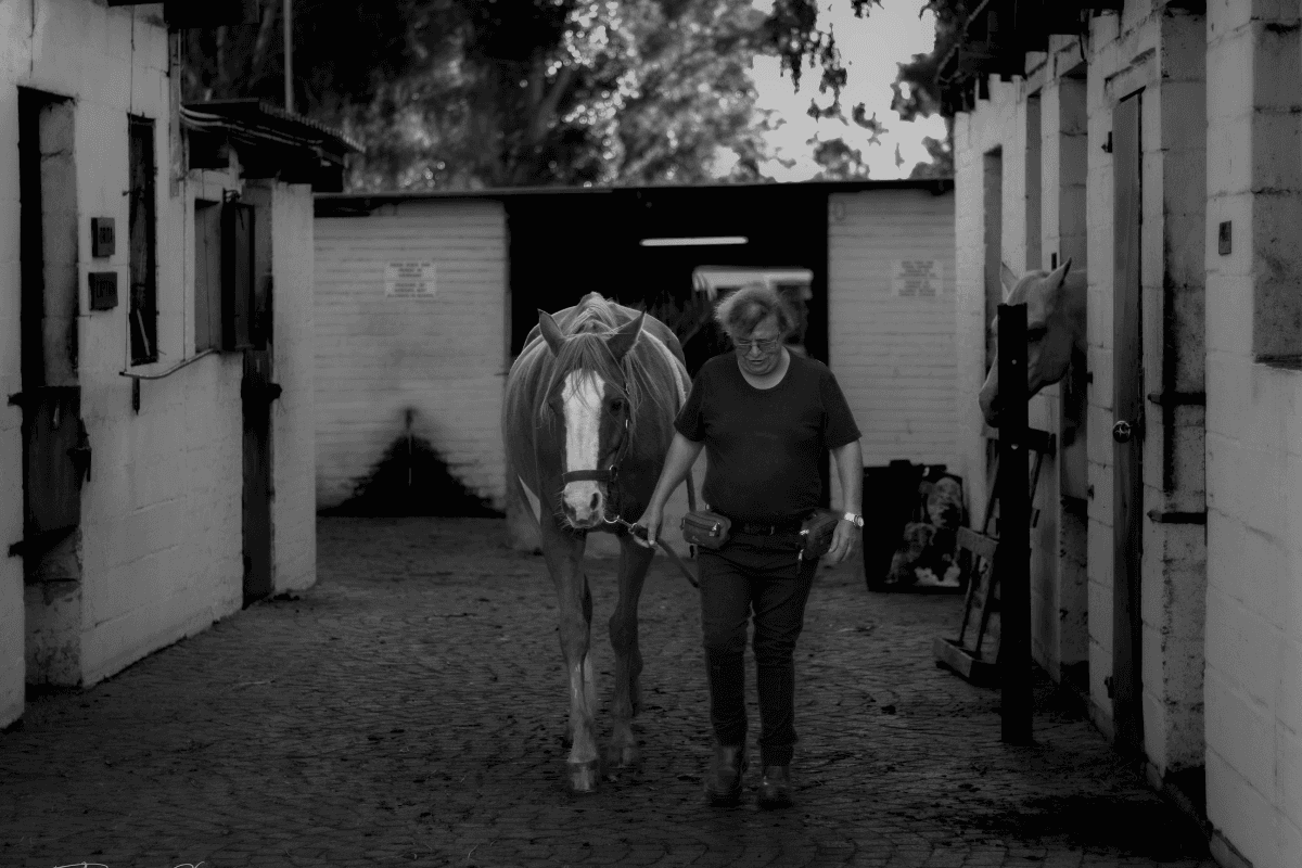 Leading a horse through the stable yard
